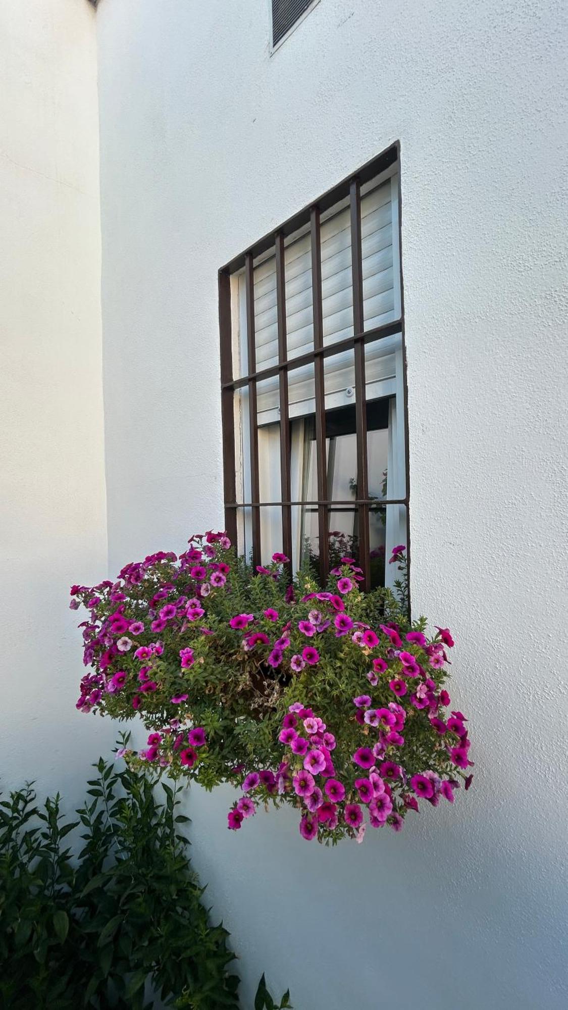 Leyendas En La Axerquia Casa vacanze